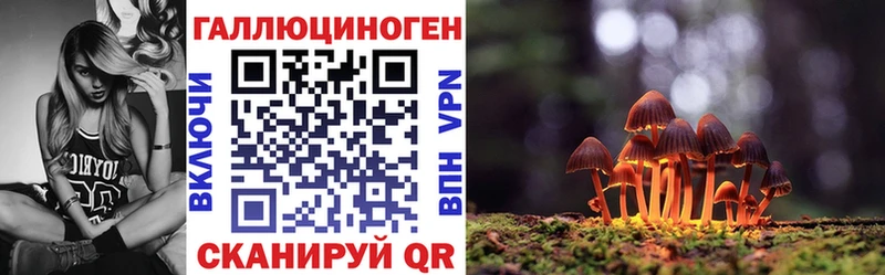 Псилоцибиновые грибы Cubensis  Лиски 